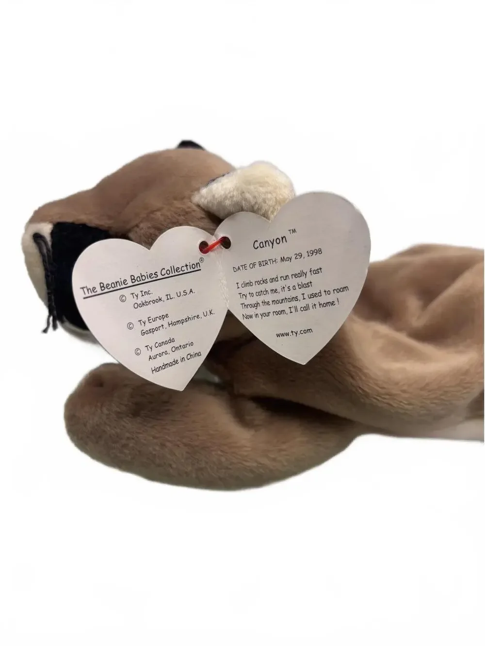 Ty Canyon Beanie Baby Full Size 9